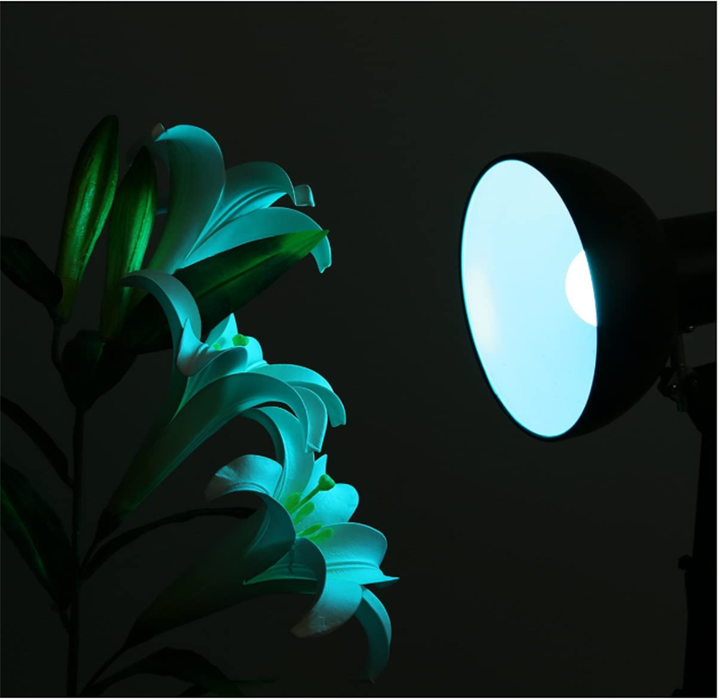 E27 DC12 5050RGB Multi-Color Energy-saving LED Bulb Light Kit Change Color With Remote E27 Large Screw Mouth Car Aluminum Bulb E27 DC12 5050RGB Multi-Color Energy-saving LED Bulb Light Kit Change Color With Remote E27 Large Screw Mouth Car Aluminum Bulb